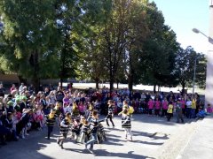 IMG_20181005_103732.jpg